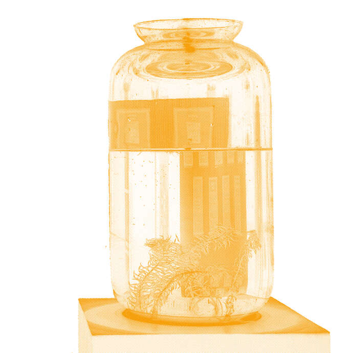 [Magie & musique] Tropisme poétique