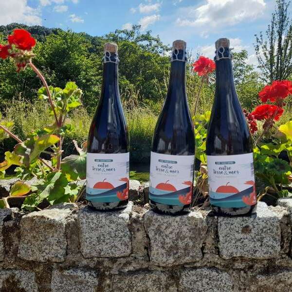 Cidrerie des Hautes Falaises - Boutique