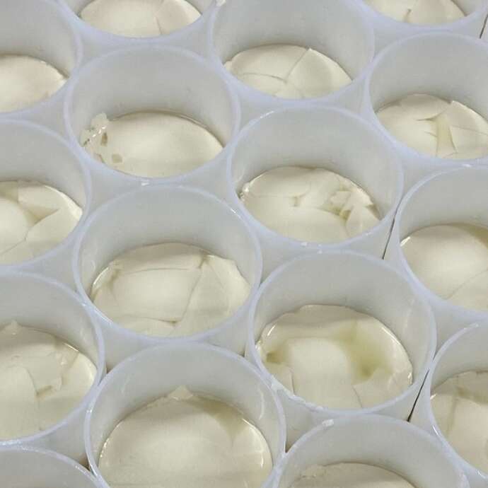 Camembert le 5 frères