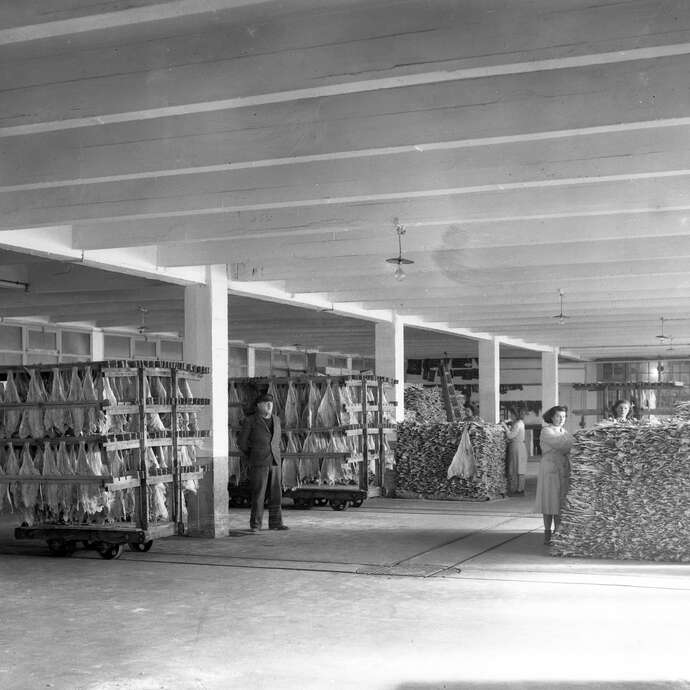 OUVERTURE DE L'EXPOSITION : Du béton armé à la morue séchée
