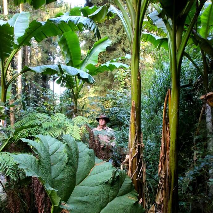 Visite guidée - Jardin jungle