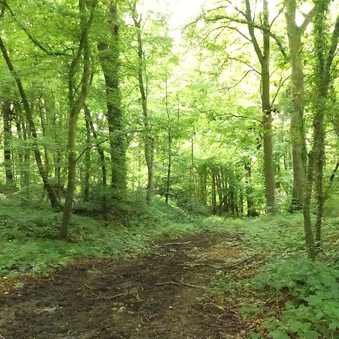 Sophro-promenade "Sérénité"