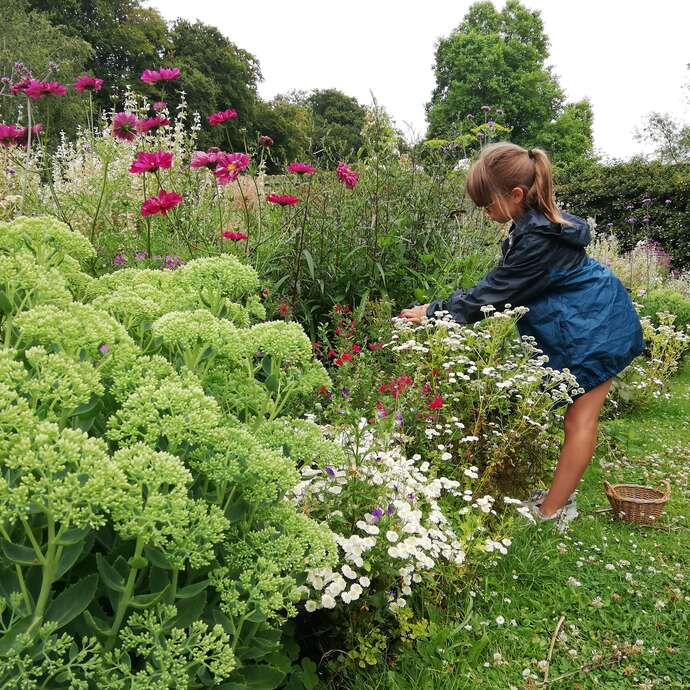 [Visite famille] Atelier culinaire : sublimer les fleurs