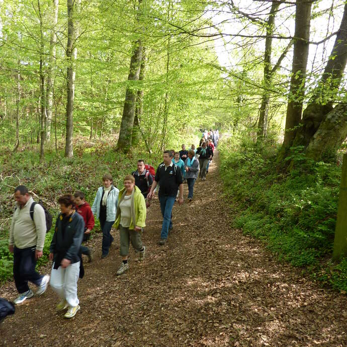 Randonnée Pédestre