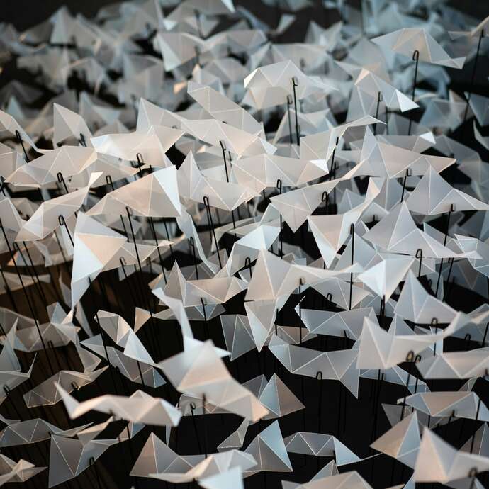 Les résiliences : Petite fille aux cheveux blancs