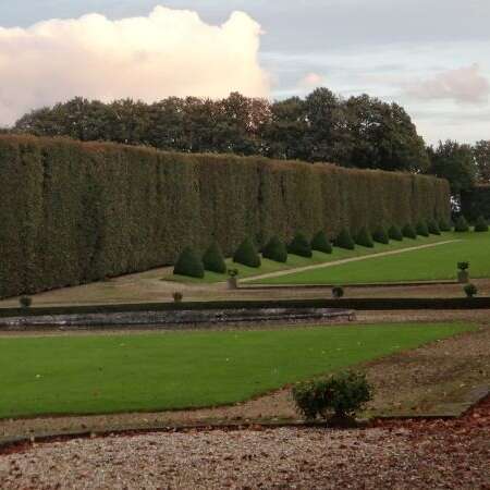 Jardins de Limpiville