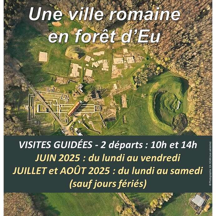 Visite guidée du site archéologique BRIGA