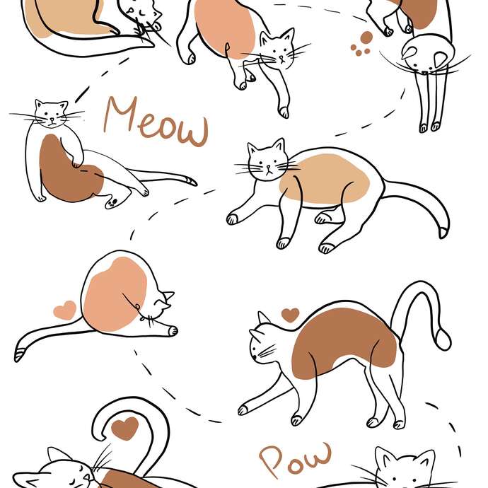 Exposition : "L'été du Chat : Femme et Chat"