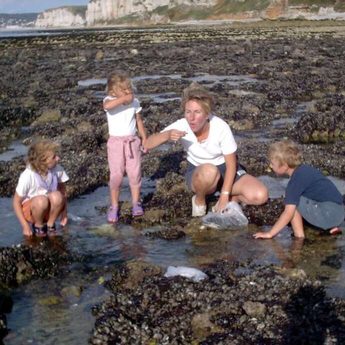 Alyferm - Découvertes des Algues sur l'Estran