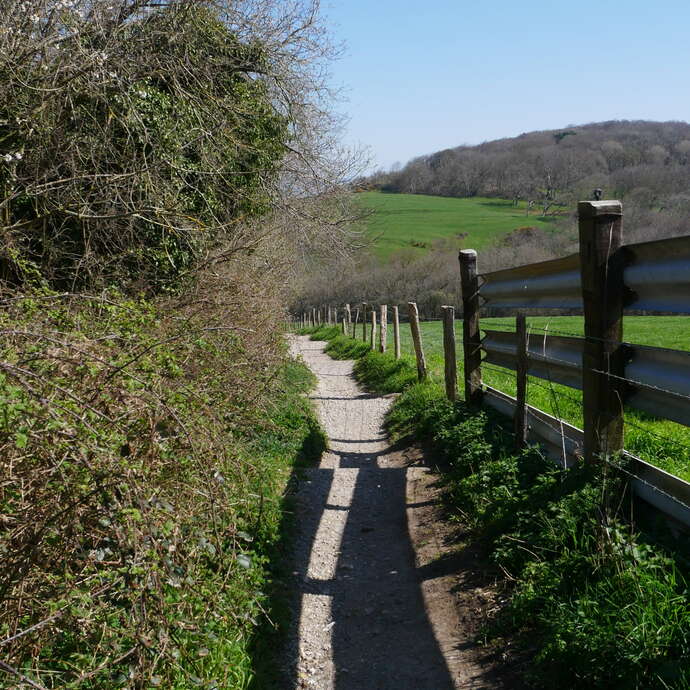 [Balade zen] Parents-enfants