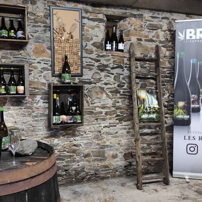 Dégustation Brume : Vins au chanvre