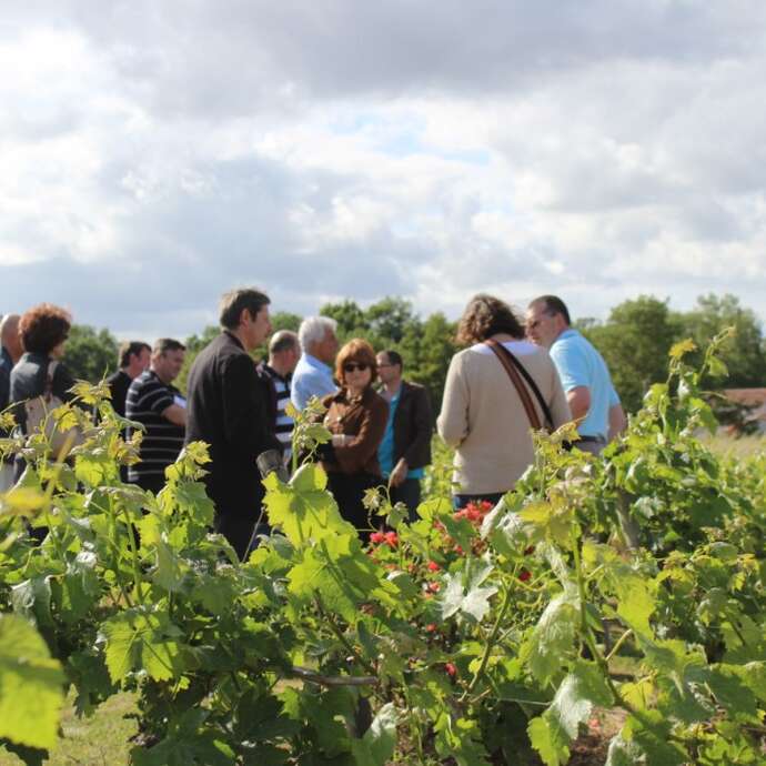 Domaine Florence et Joël Forgeau