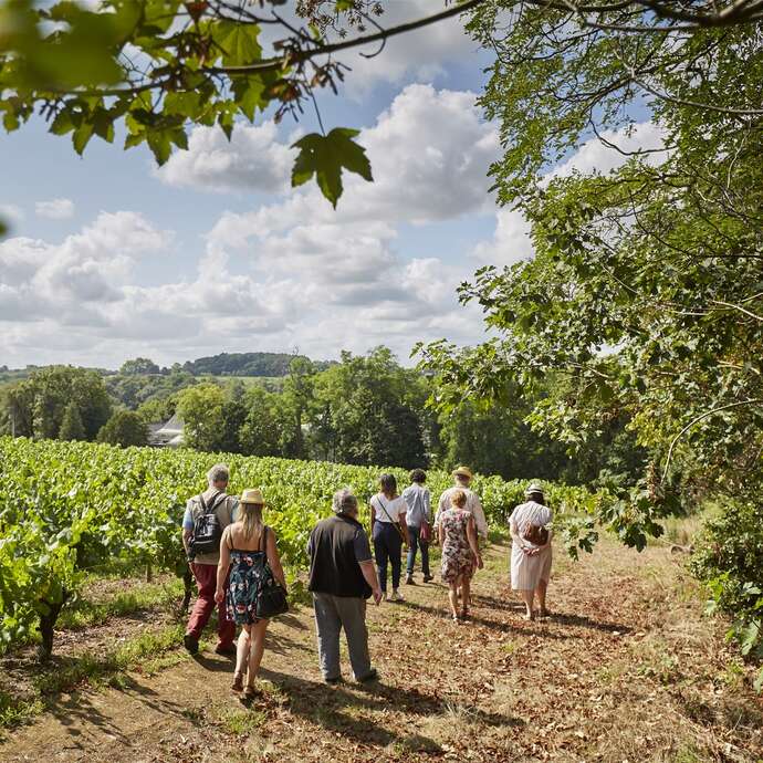 Wine Tours : Escapade en Muscadet
