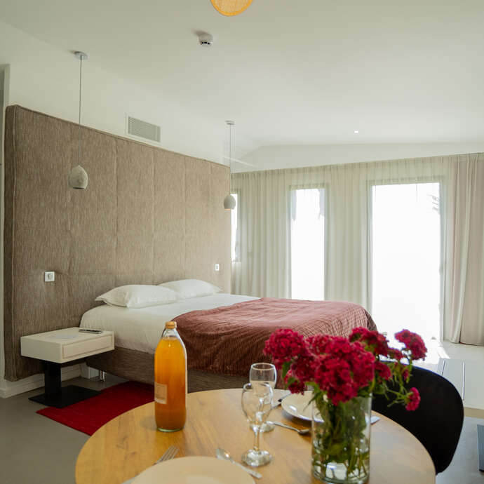 LES VILLAS DU PARC DE LA CHABOTTERIE (CLASSIQUE +)