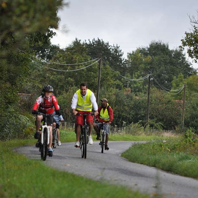 Boucle circuit Vignoble à Vélo entre Bretagne et Anjou