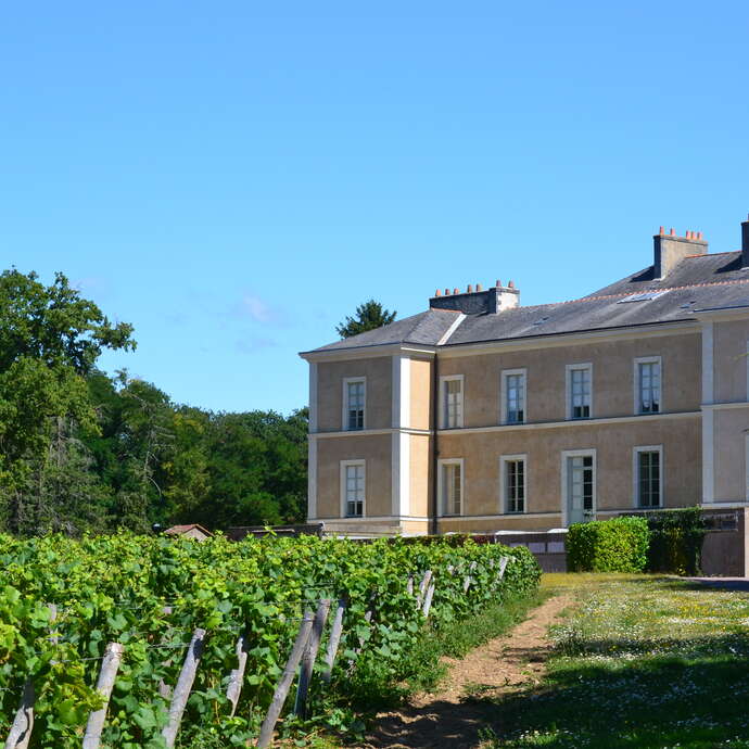 Château du Cléray - Sauvion