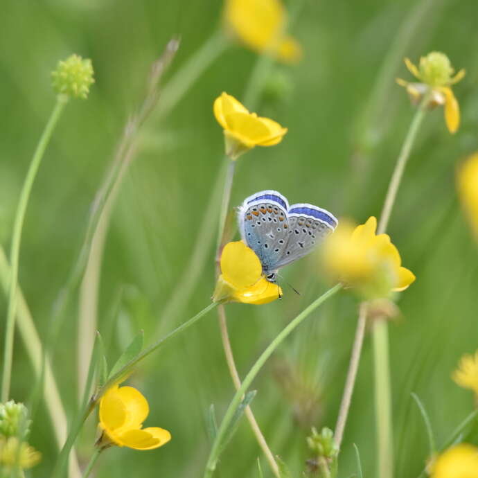 Un moment dans la vallée