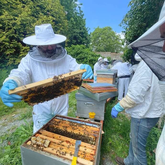 Réaliser son savon à base de produits de la ruche