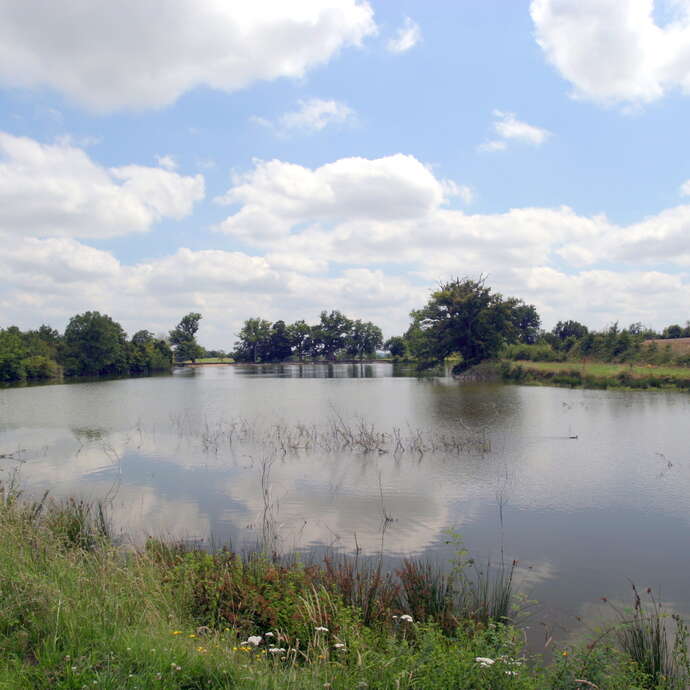 Village médiéval Saint-Denis-d'Anjou - Petite Cité de Caractère
