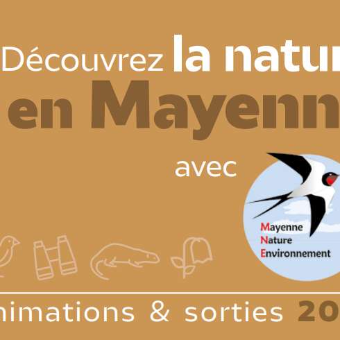 À la recherche de la nature en ville | MNE