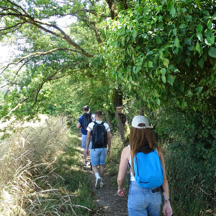Randonnée 9,5 km