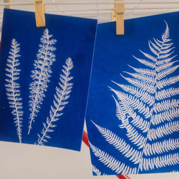 Réalise un cyanotype