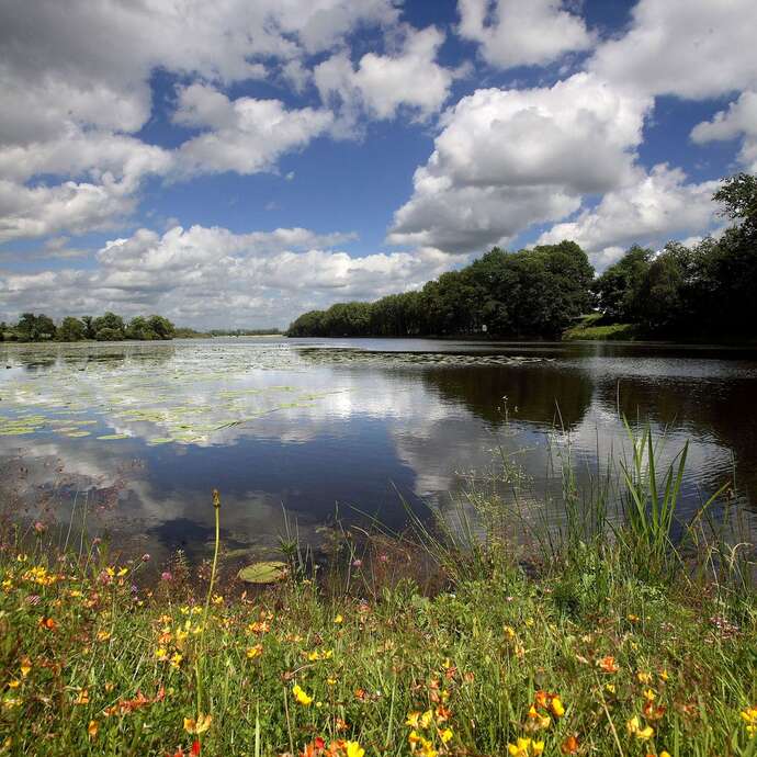 L'ETANG NEUF DE JUVIGNÉ