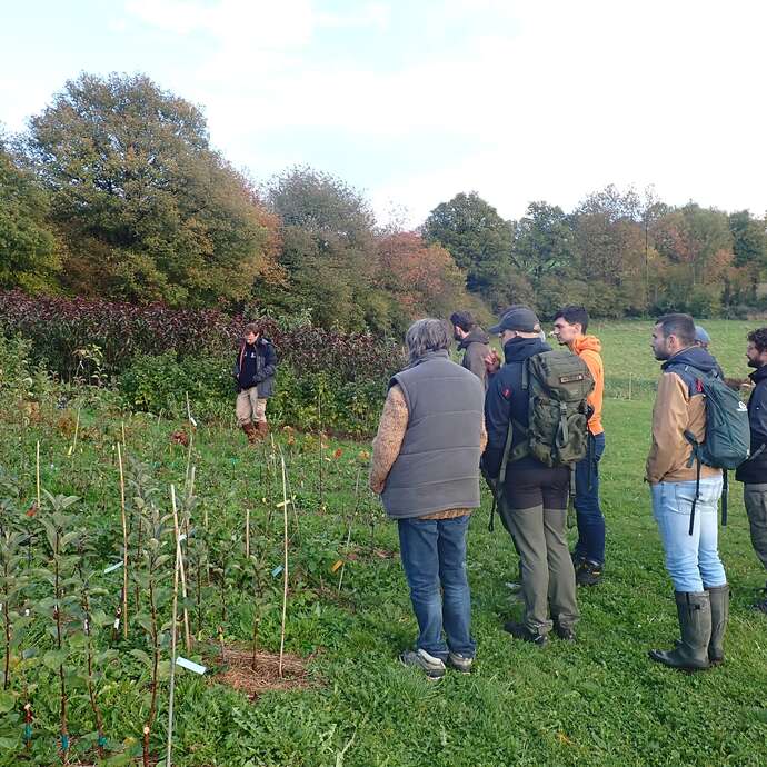 Visite de la pépinière des Jardins de la Bédardière