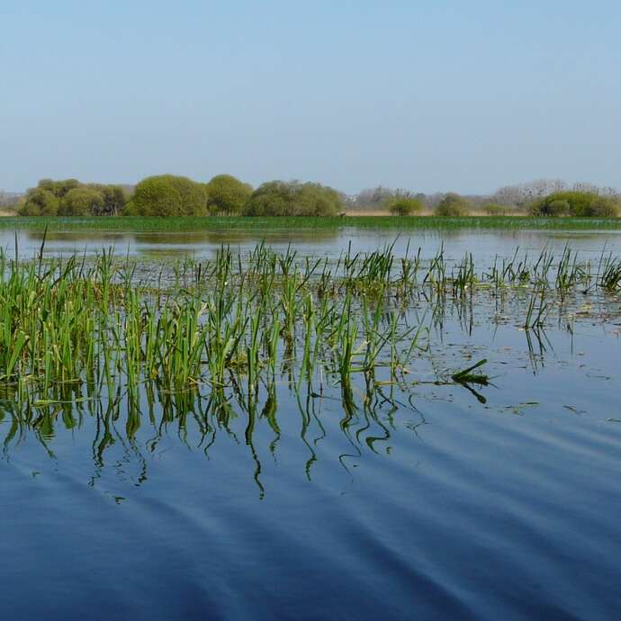 Les Marais de Goulaine, la Maison bleue