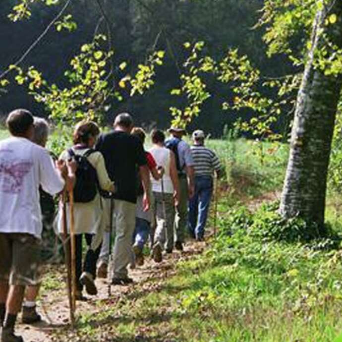 Randonnée pédestre de l'Escurays