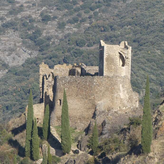 LES QUATRE CHÂTEAUX DE LASTOURS