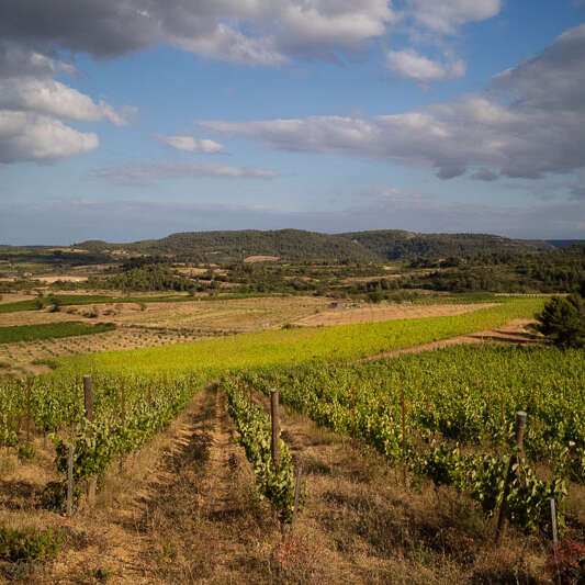 DOMAINE LES CASCADES
