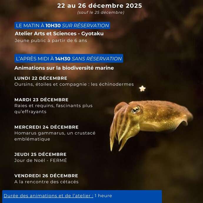 Animations au Marinarium