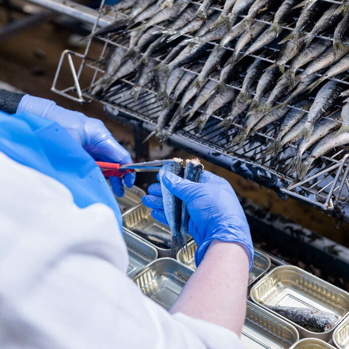 Visite guidée de la conserverie Chancerelle (Connétable) COMPLET