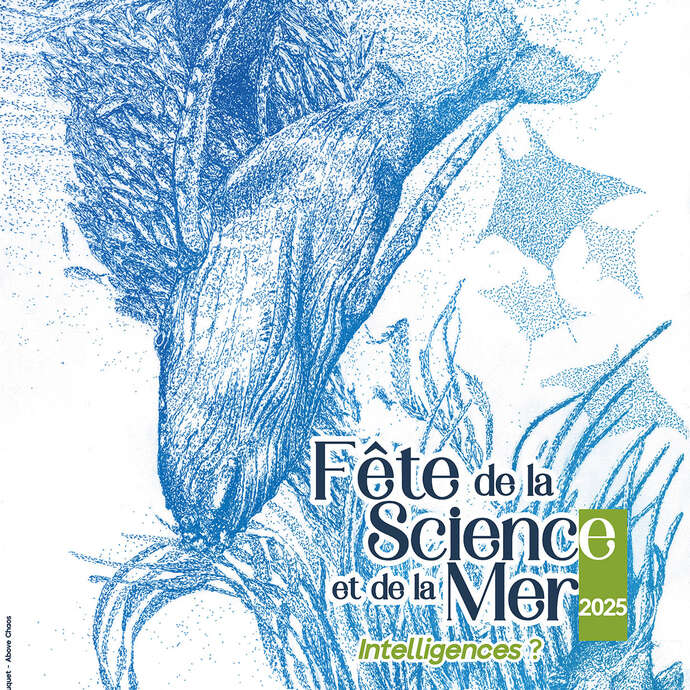 Fête de la Science et de la Mer - Conférence d’ouverture sur la communication chez les insectes