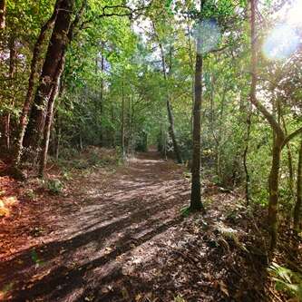 Circuit le bois de Roscouré