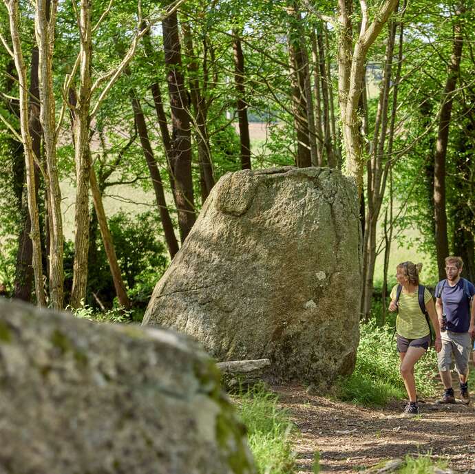 Site de Saint-Kodélig