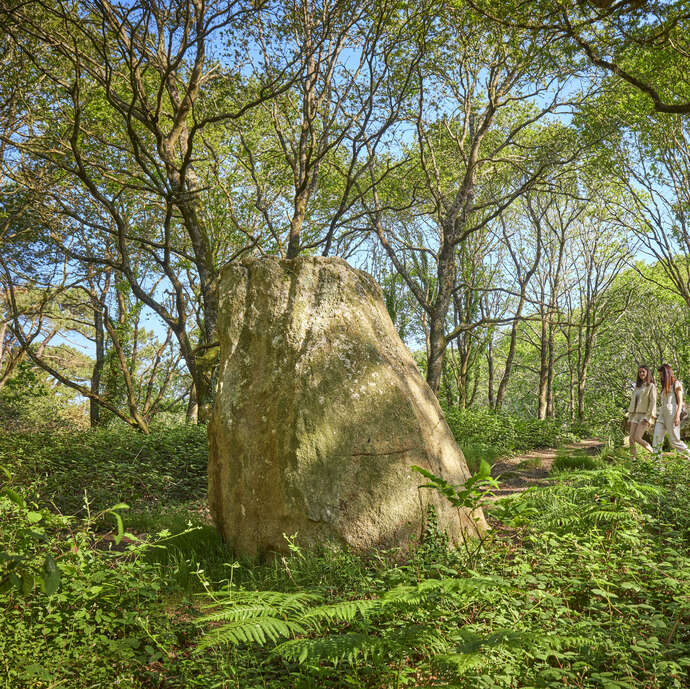 Boucle VTT n°5 Saint-Kodelig