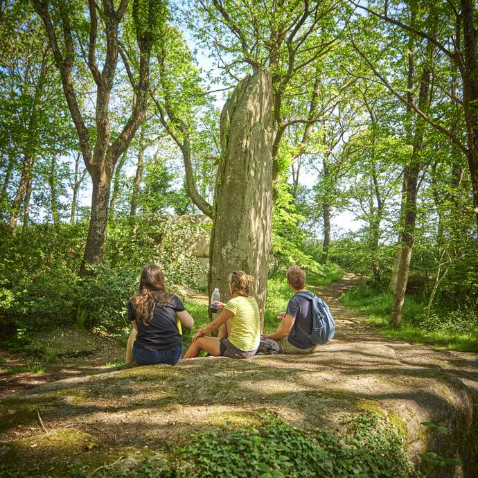 Menhirs de Lespurit Ellen