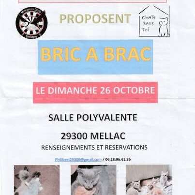 Bric à Brac, Vide Grenier