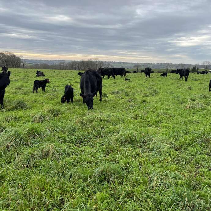 La ferme de Kerdroual