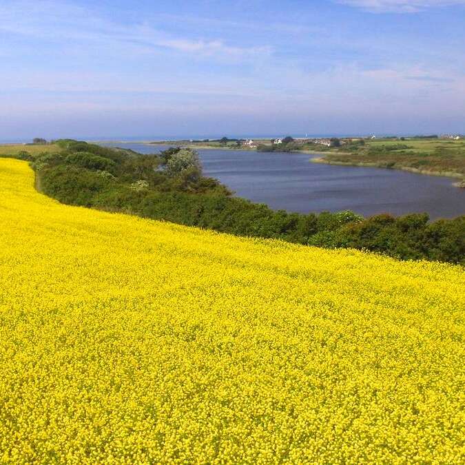 Circuit l'Étang de Trunvel