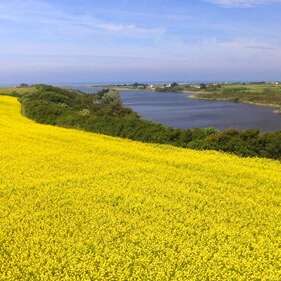 Circuit l'Étang de Trunvel