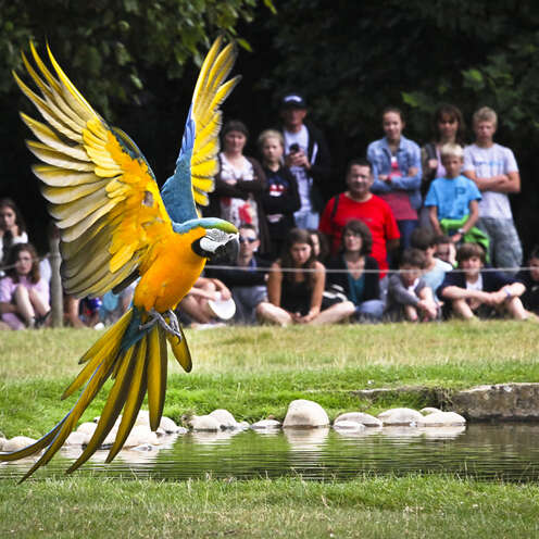 Parc animalier de Branféré