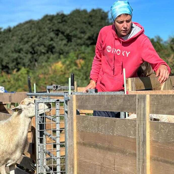 La bergerie de Manue