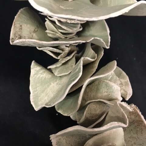 Visite de l'Atelier de céramique "Miss Terre de l'Ouest"