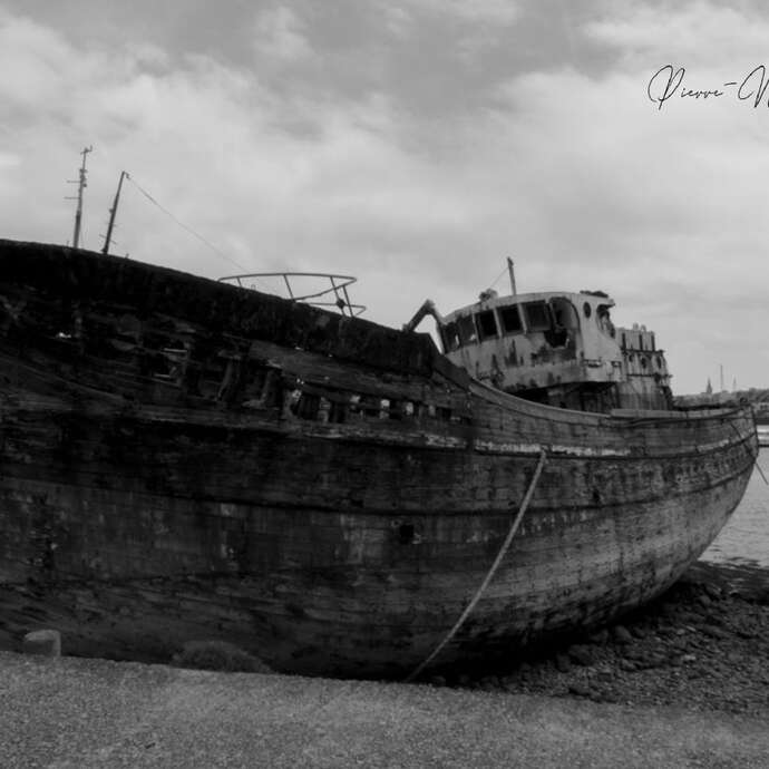 Pierre-Nicolas Photographe