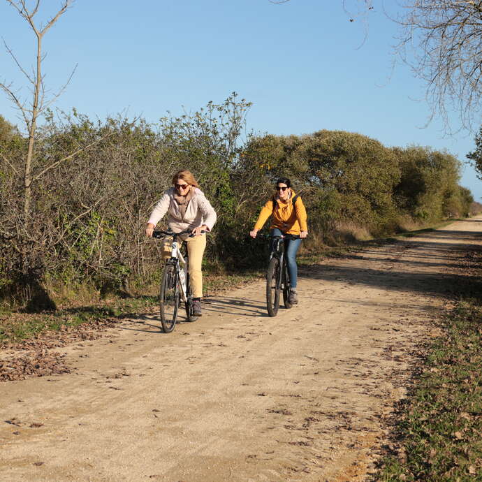 Itinéraire cyclable du Train Birinik n°2902 - Pont-l'Abbé - Saint-Guénolé