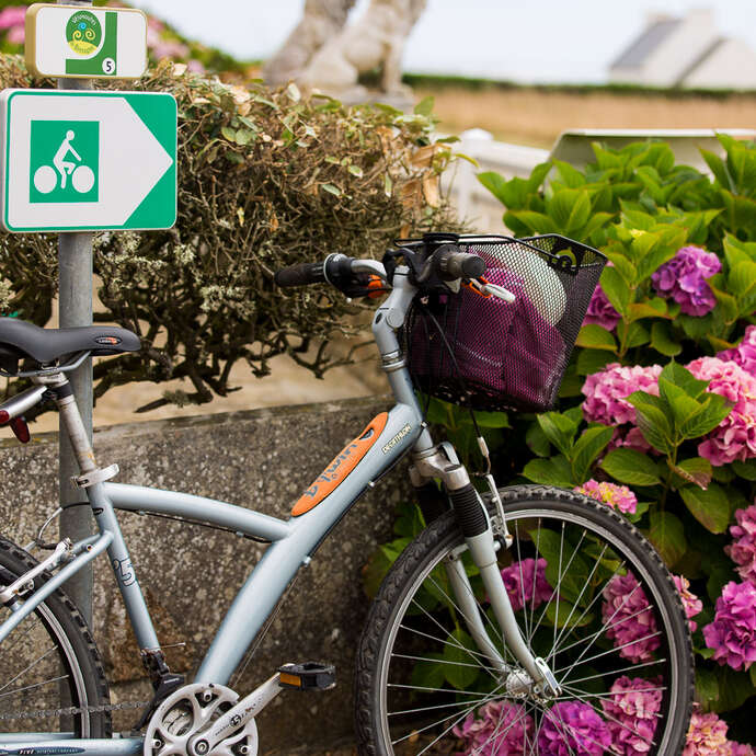 Location de vélos - Les enfants de la côte