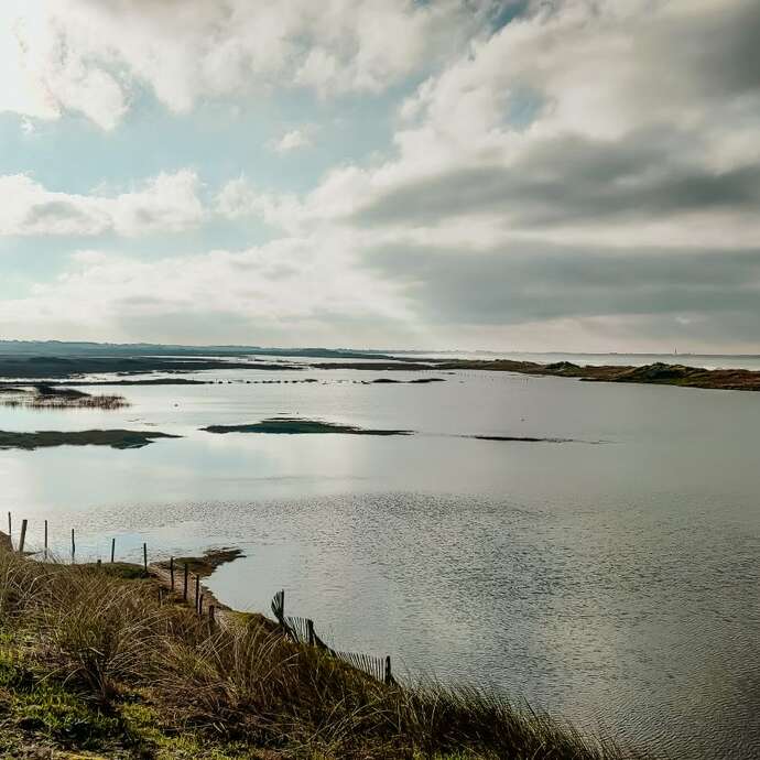 Les rendez-vous nature - À la découverte des dunes et paluds bigoudènes